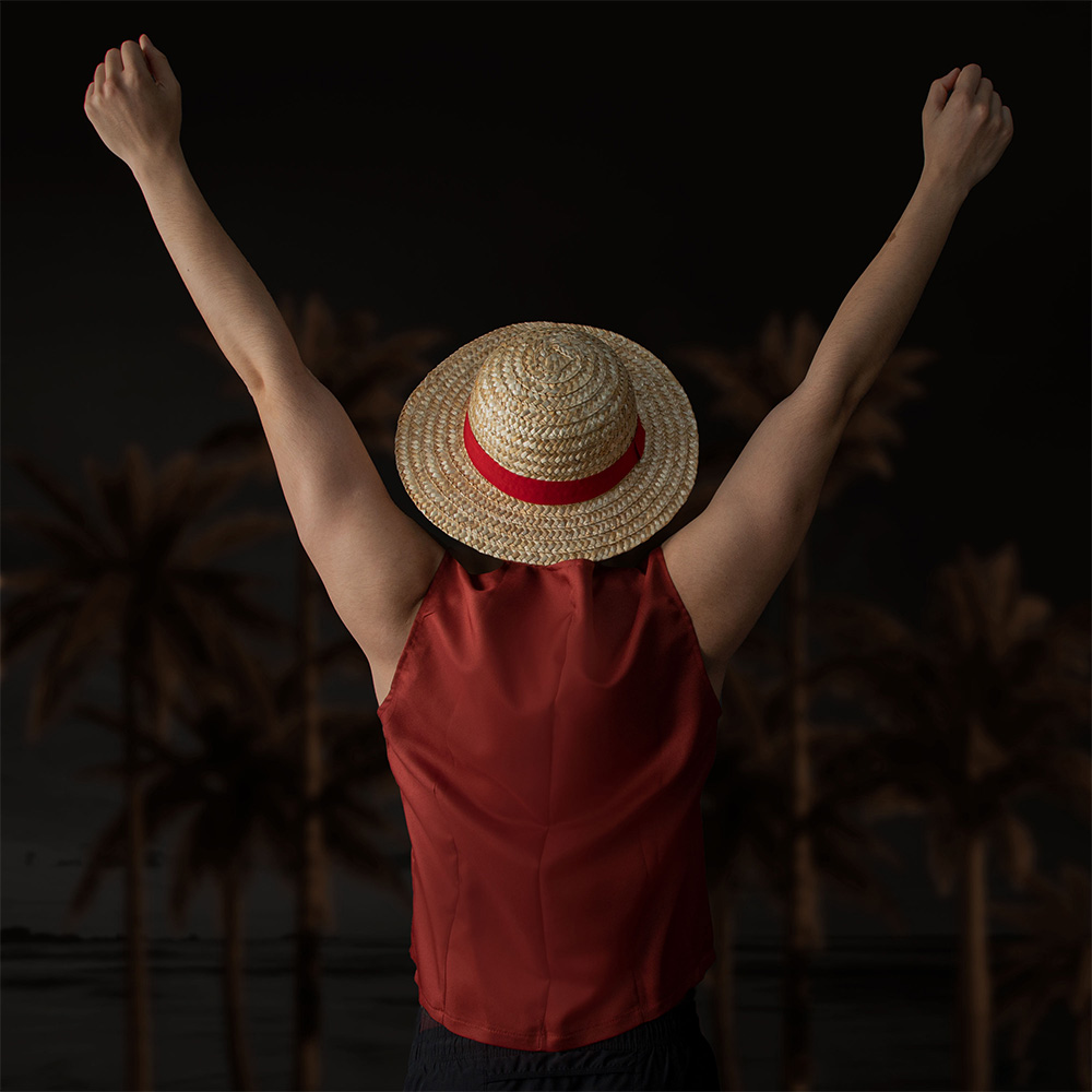One Piece Officially Licensed  - Anime Cosplay Netflix 评论和价格